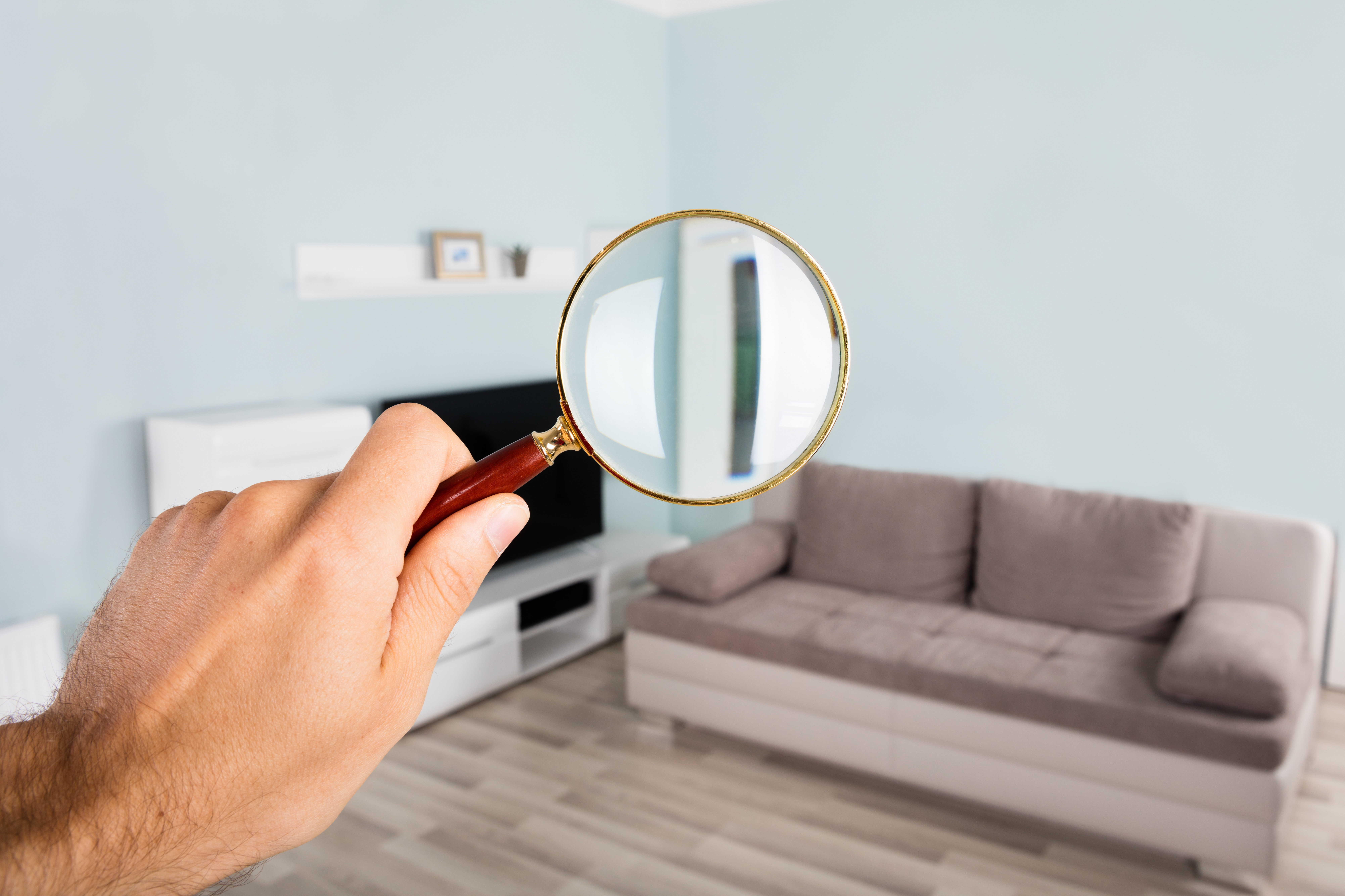 Magnify the Foundation issues