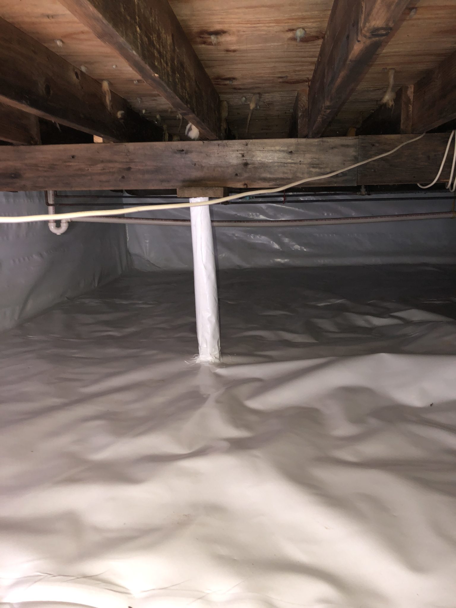 Basement Reapir