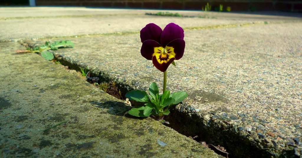 Uneven Concrete Floor Repair How to Fix Crossroads Foundation Repair