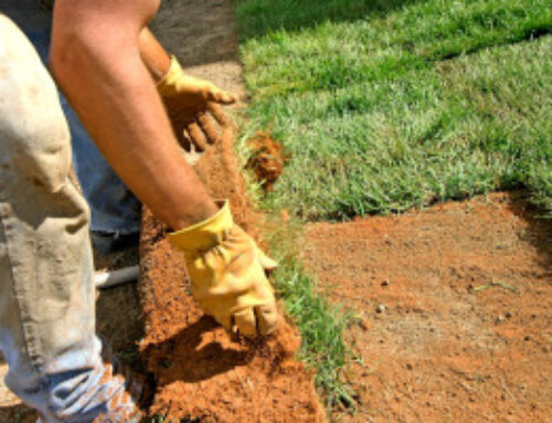 Can Landscaping Damage Your Home’s Foundation?