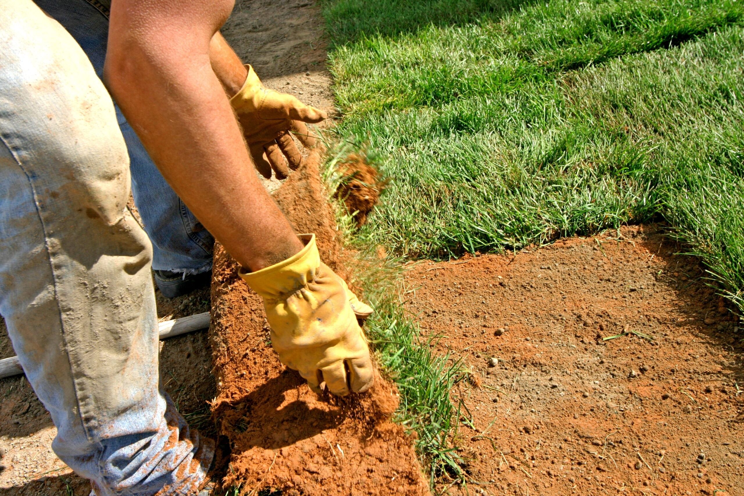 Landscaping around the home.