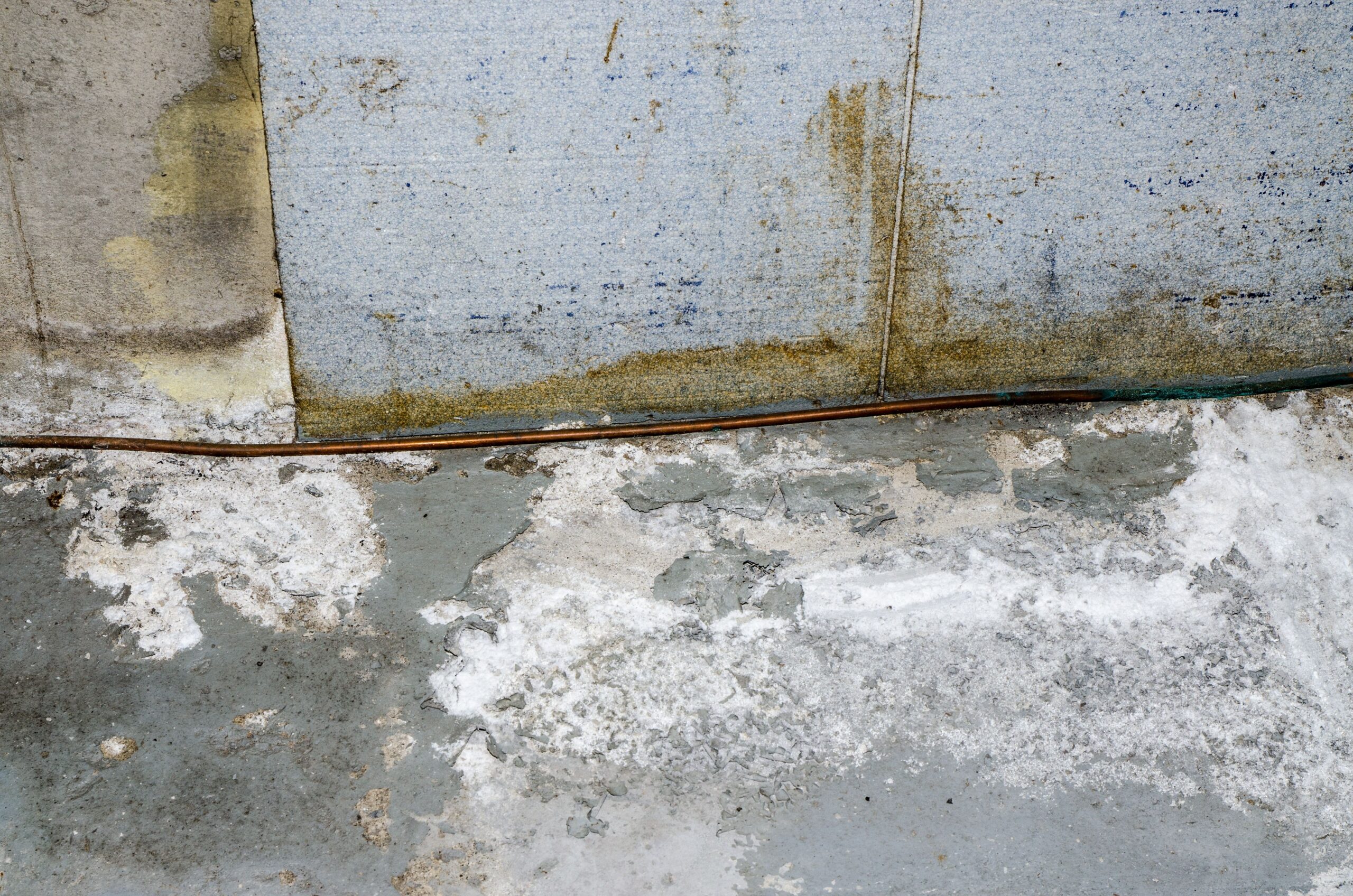Efflorescence is the appearance of white, powdery, or crystal-like salt and it can be prevented with the use of home dehumidifier. 