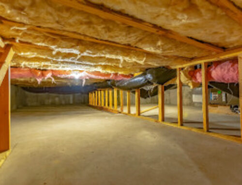 Why Do Homes Have/Need Crawlspaces?