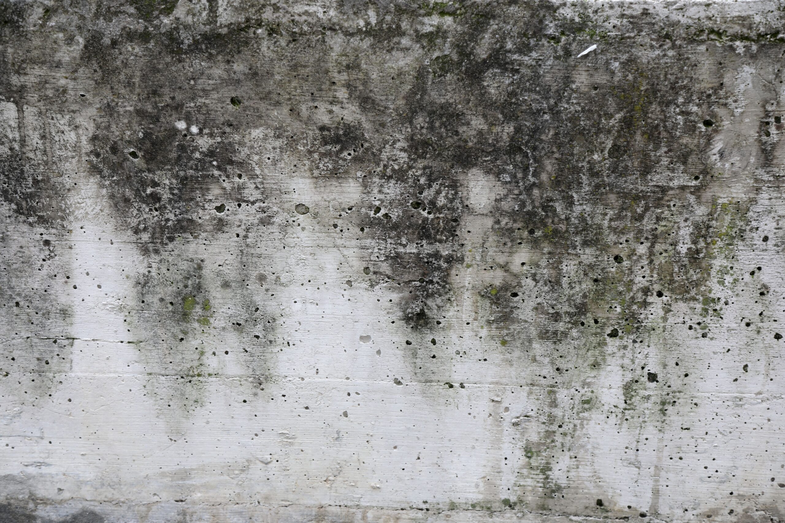 Home dehumidifier helps with prevention of mold and mildew. 