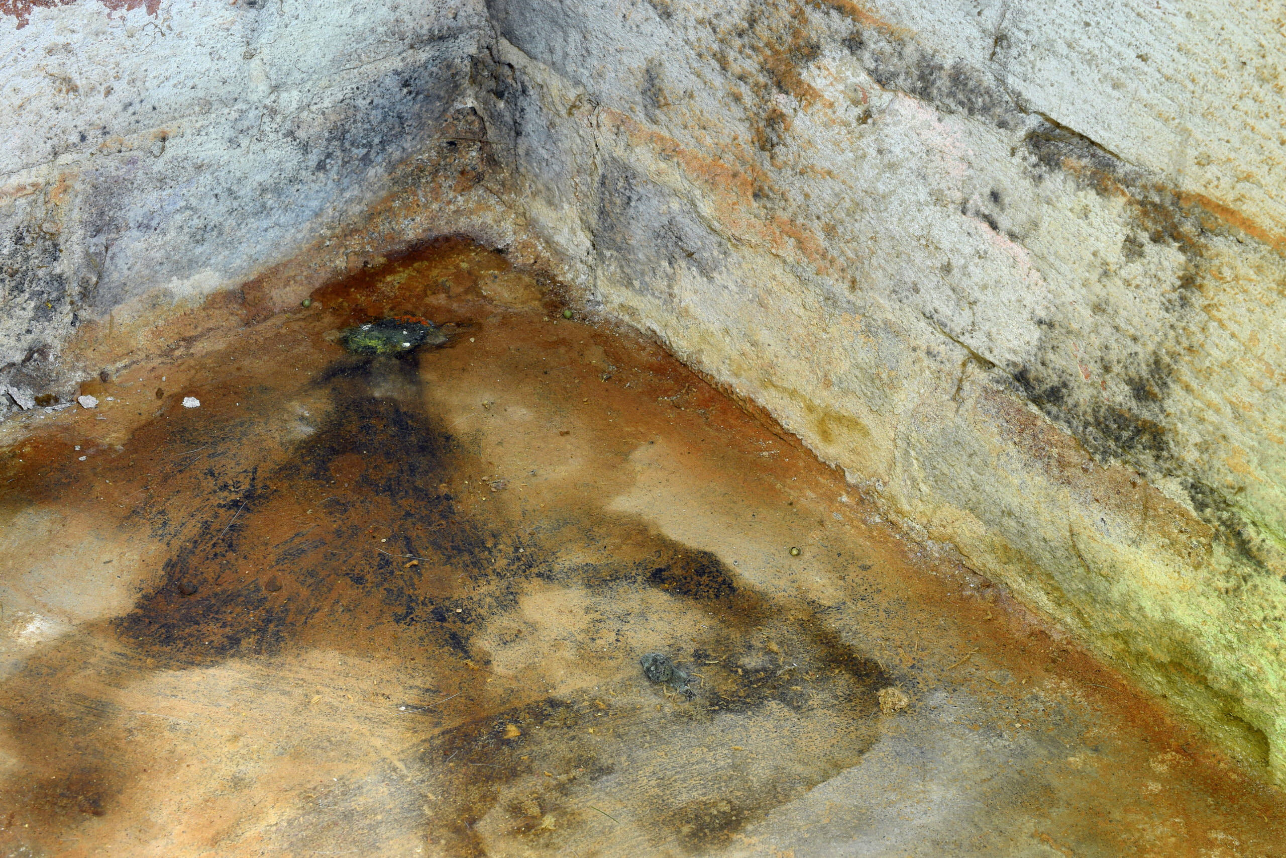 Home dehumidifier can help when you face too much condensation. 