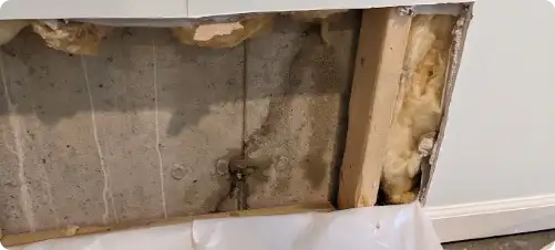 basement wall repair service