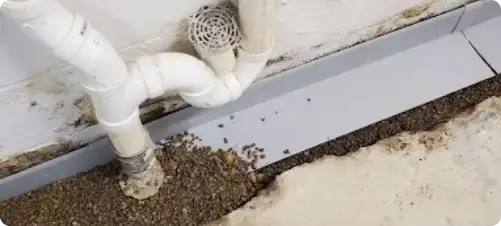 basement waterproofing service